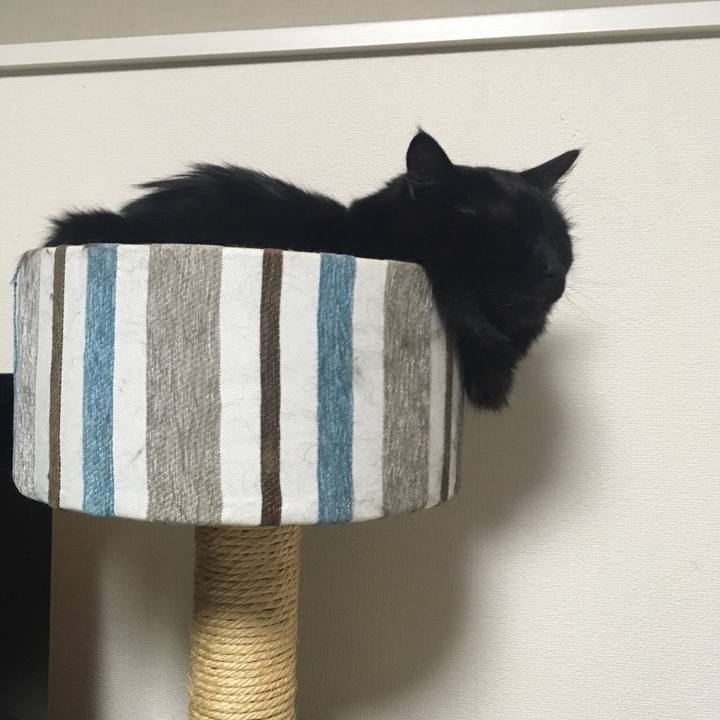 C719d0c6 151e 43c1 b99c 9bb9f5ff2f4f 1523550389592