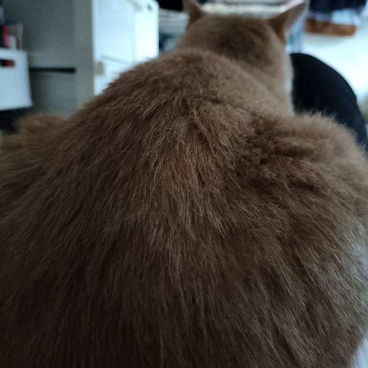 C719e4b6 f707 4125 8b6c 10d8df10743f 1635114920257