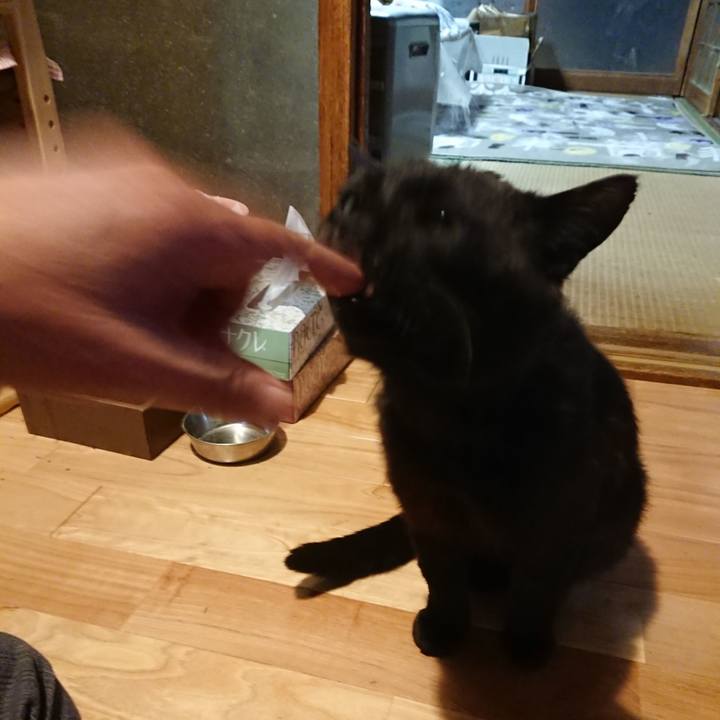 C71a01cd 1ffb 4b59 b321 8ab94ea13bc6 1622890015515