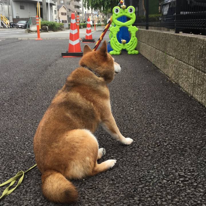 C71a4499 326a 4968 9824 def0f8f5dda5 1594370746567