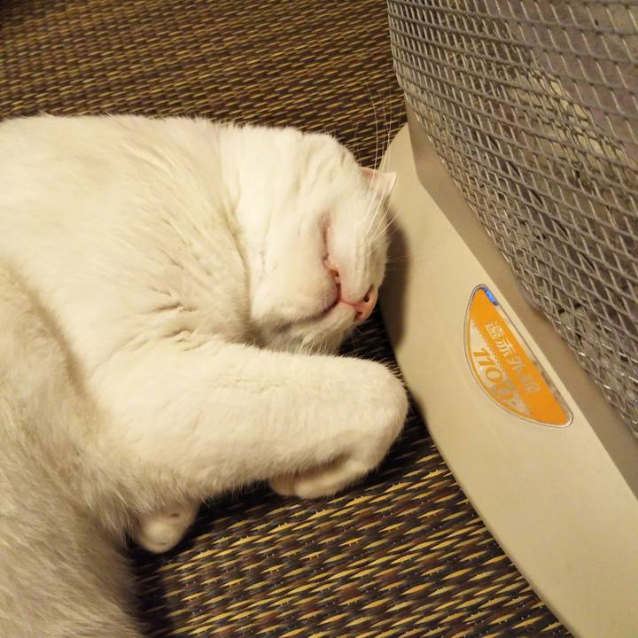 C71a79f9 9979 4cd8 aa93 f90c05098531 1578052540888