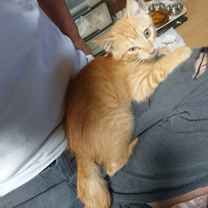 C71aa6dd 2740 4349 850b aa9fa3c19f26 1630014756508