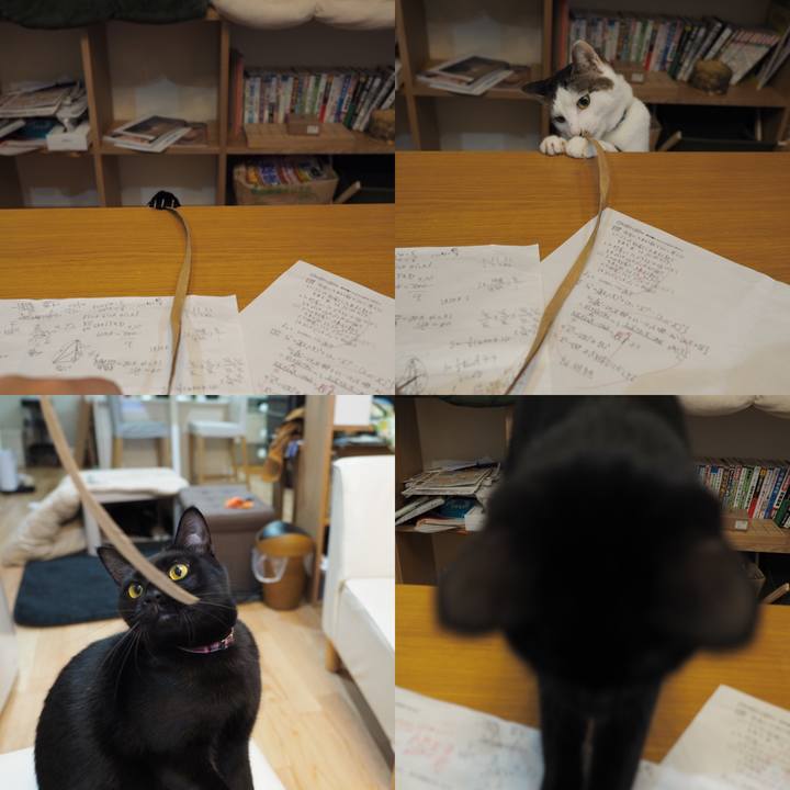 C71ab91e d443 48a4 8a66 7d4d90bfac15 1544624837273