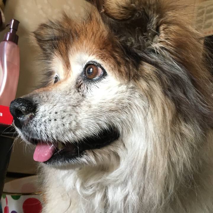 C71b1934 0ce1 4c1a affd 4829486ea6cd 1605575312590