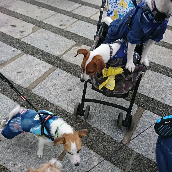 C71b5c6a f781 4c8f 8e3f dad97cf35d0d 1539506188115