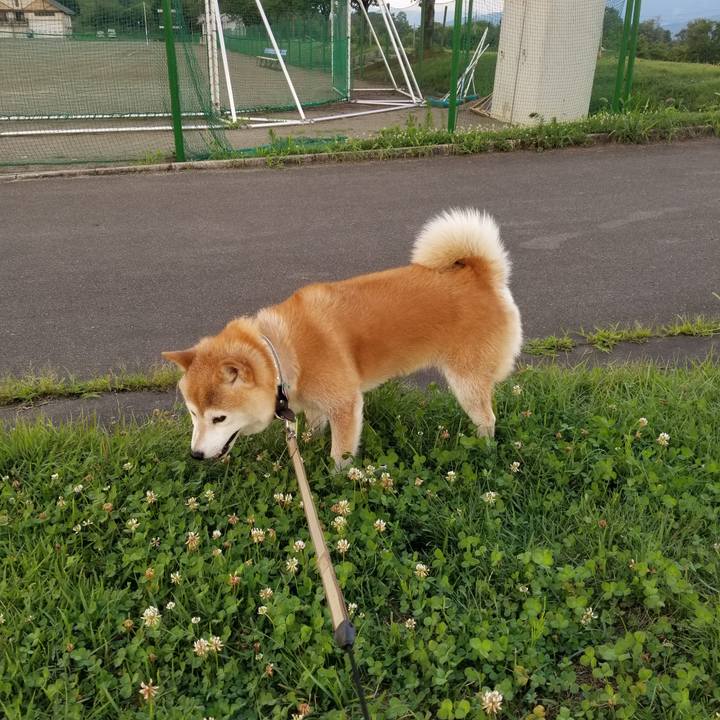 C71b665b bdb7 40f1 b414 b1d73e2c0a83 1659086424625