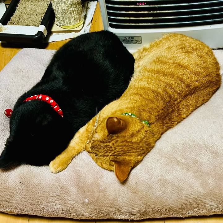 C71b7080 dd6a 44d5 a993 dcb9e80de6dc 1772795099913