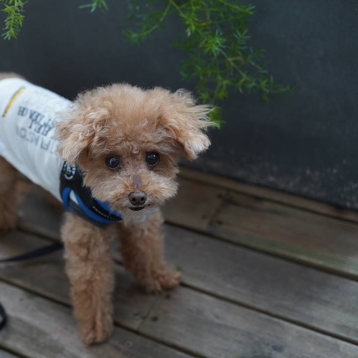 C71b79b3 b1b4 44d9 bf98 51f9a081c735 1665299369316