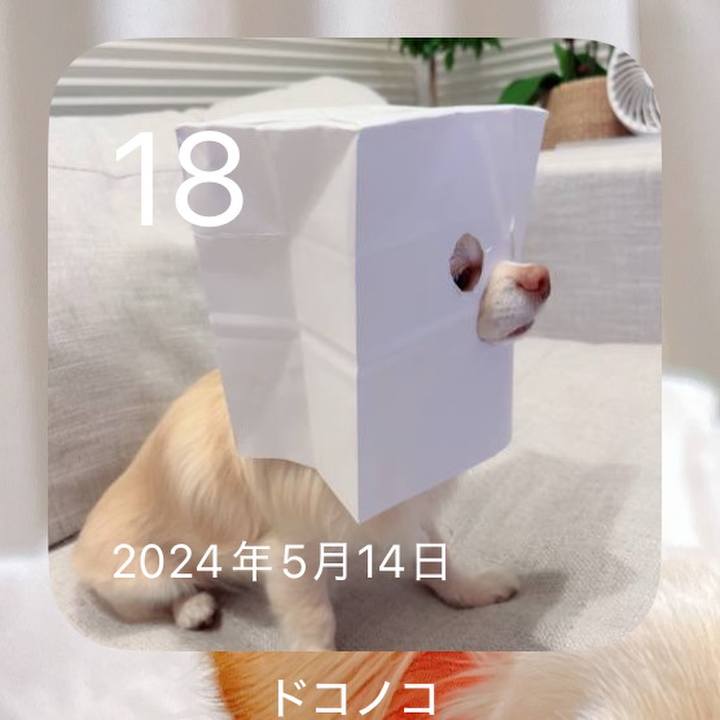 C71bbcf6 3b68 459a b0dd e8d2b0fd2afa 1747540232130