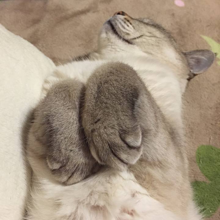 C71bce62 7b45 425b bad3 5ad3c30b3157 1552733340637