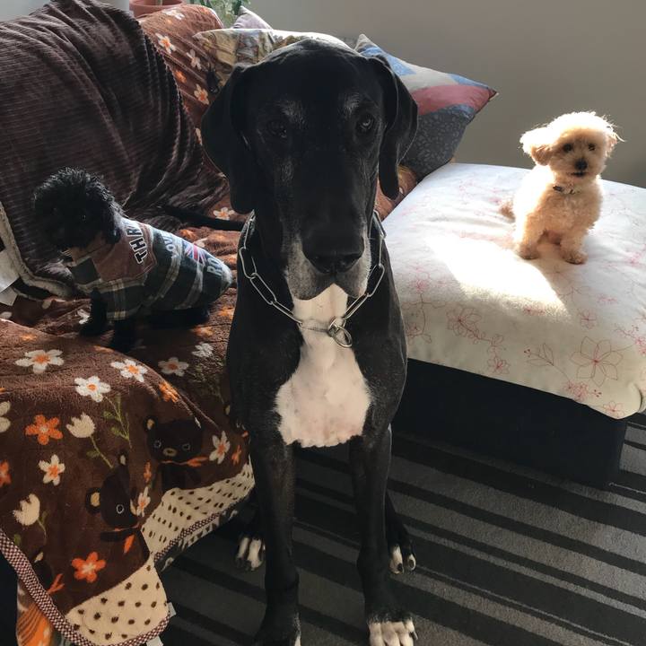 C71be117 eed4 4e22 9e27 0a0369914a6f 1519685336907