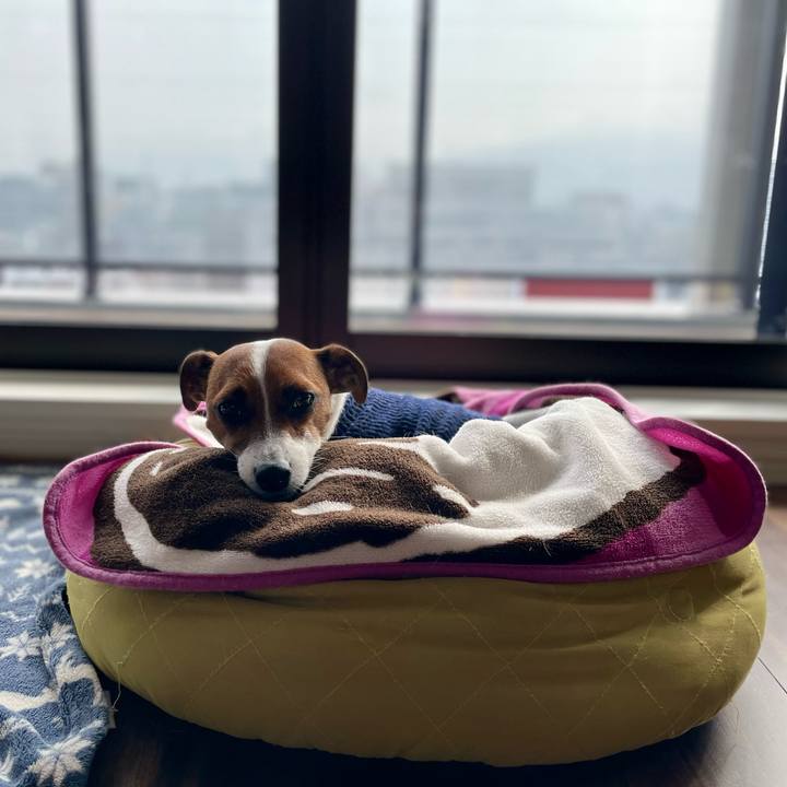 C71c01c6 33f2 4c2d 9ea3 1f4ac6b1288b 1644807334225