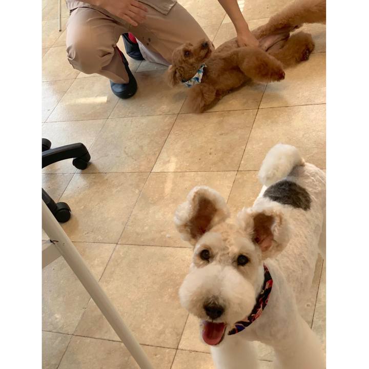 C71c030a 2ee6 4889 836f ba5d48501ed3 1556870372730