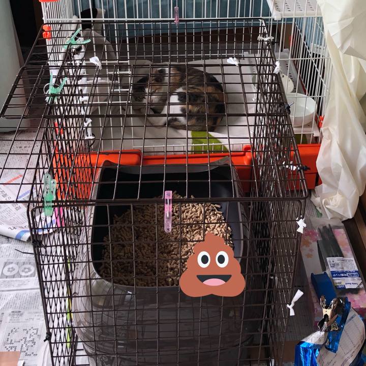 C71c1696 cd39 4f63 982f 1bcf011e6c3c 1570684321601