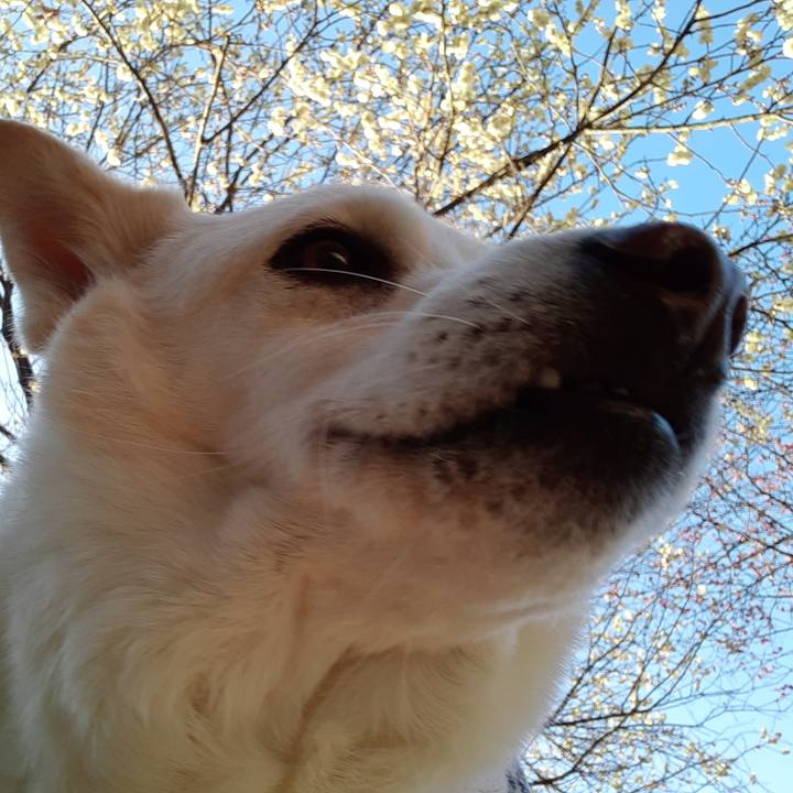 C71c4bad 371d 4eb2 b448 aed9f5dde2c2 1673085701548