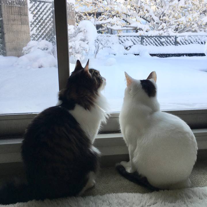 C71c6928 469f 4272 9c49 045cc815e891 1516675930106