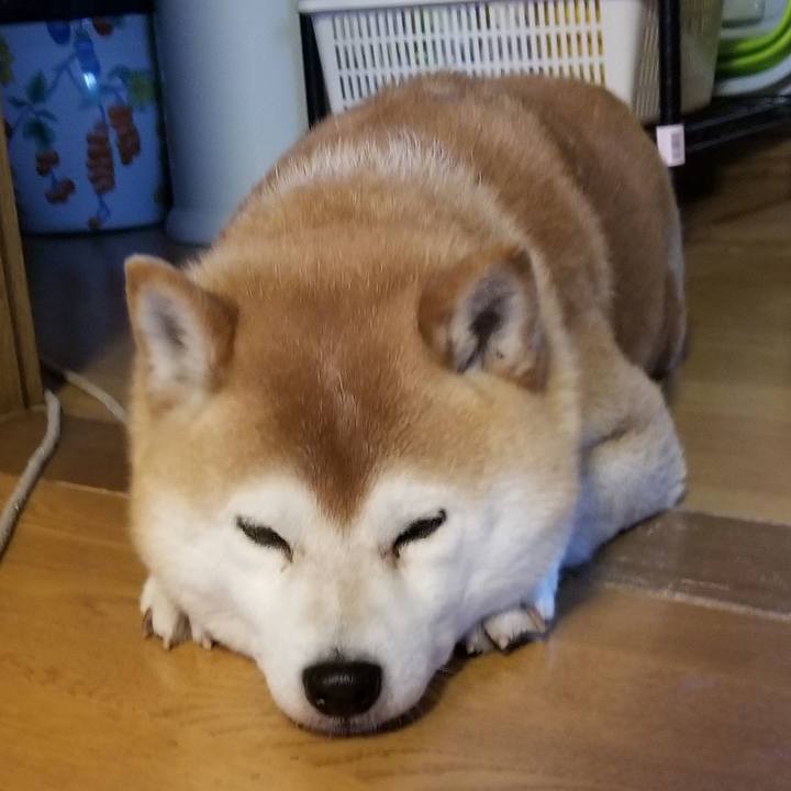 C71c6b70 1de7 4f35 b8a7 8eea288ee3b9 1621064411073