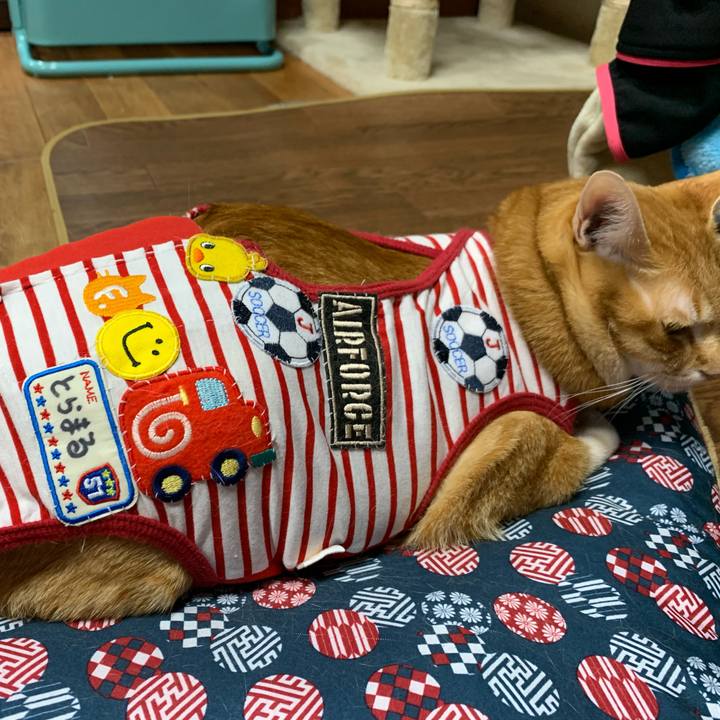 C71c8399 1988 4c61 96c6 30edd5c4a6f2 1577188517785