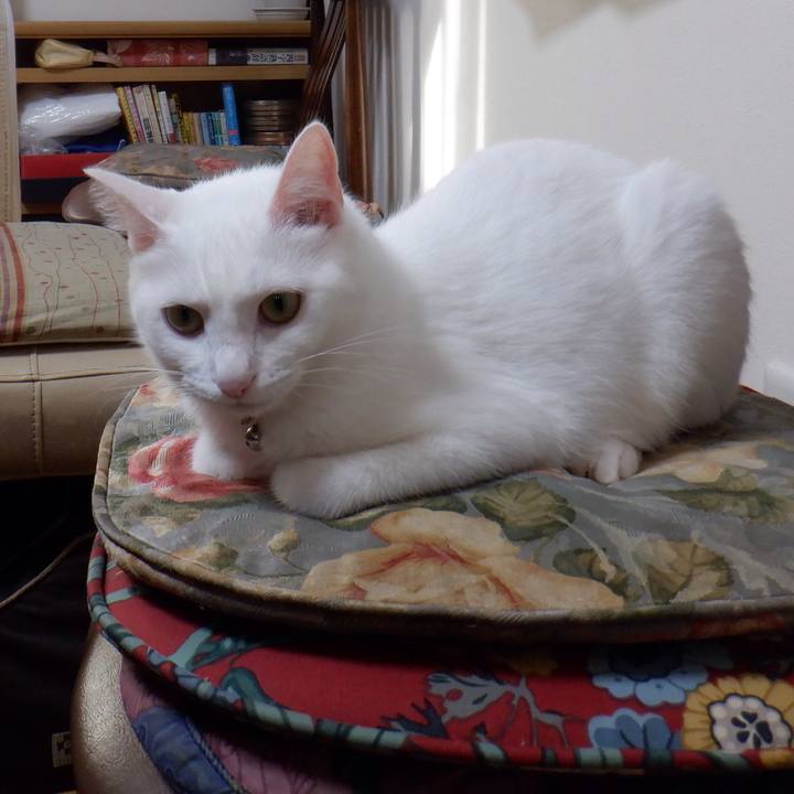 C71c8911 ce7d 43f7 9645 049096aa8faa 1632454181748