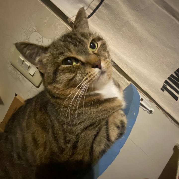 C71ca368 eeb0 4728 8024 3c48ae8851c3 1622295765709