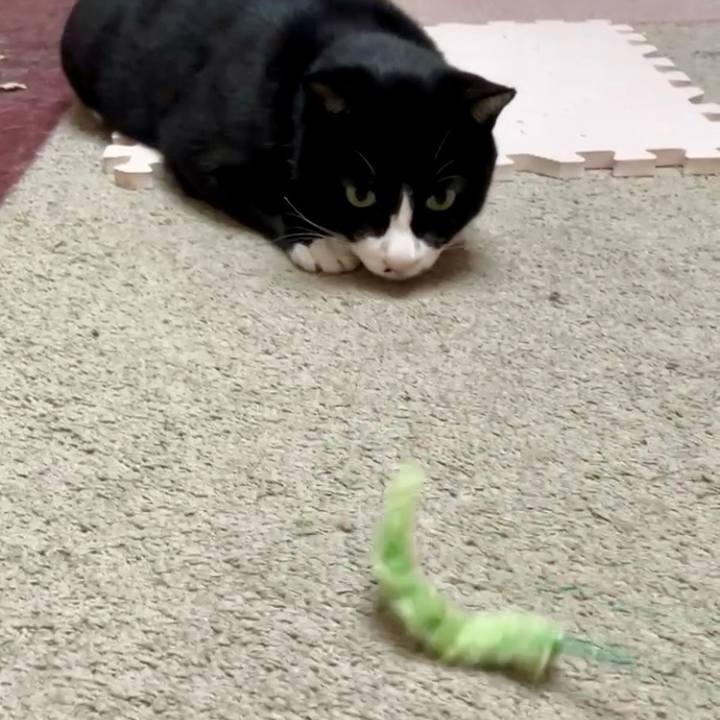 C71cc335 6d23 4043 9191 de37513cc732 1729223588604