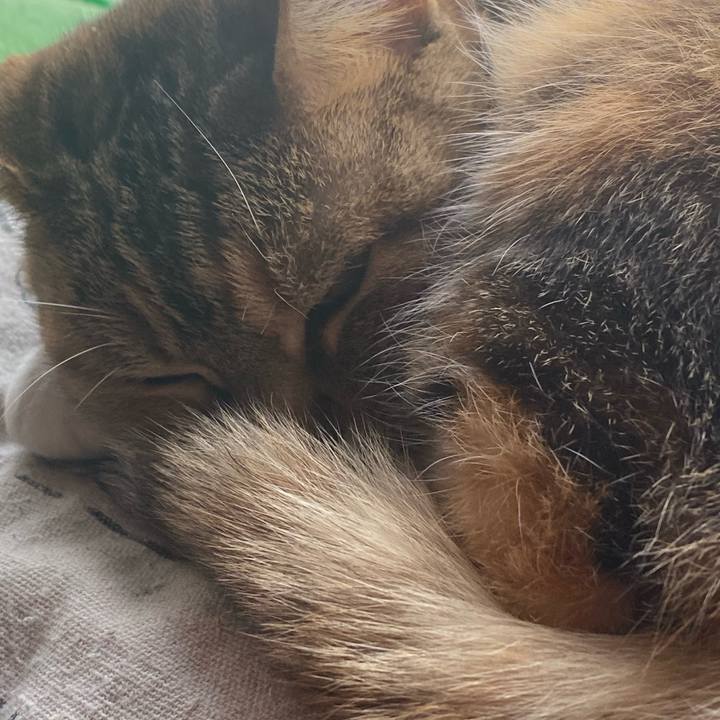 C71cd596 44fa 415e 9223 f654402027c9 1614875644253