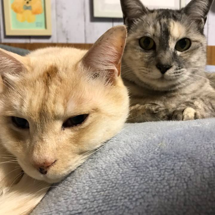 C71d12f7 6354 4c35 8f3e b04983158104 1579093971622