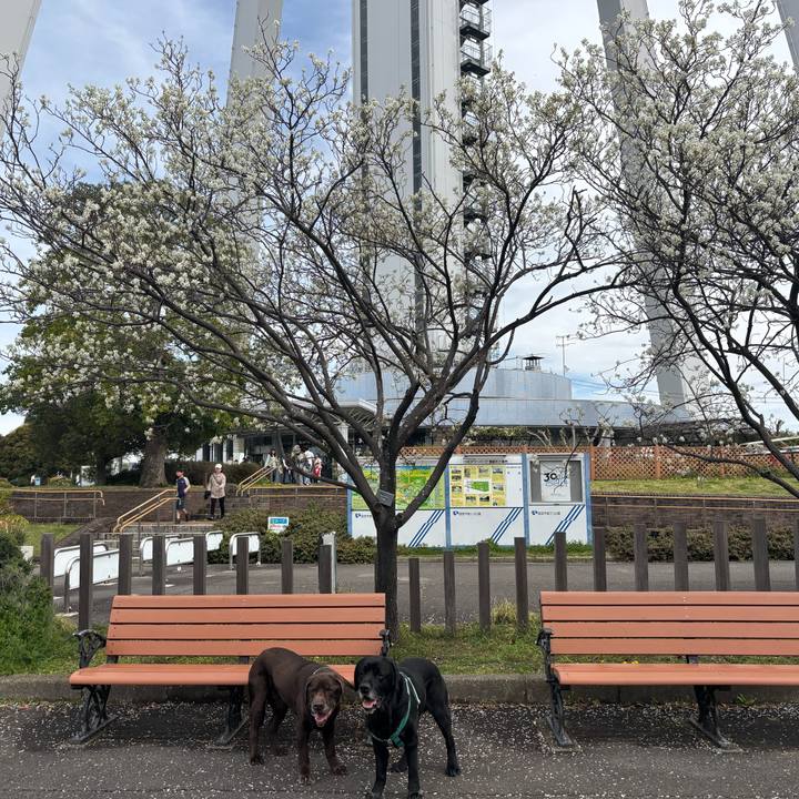 C71d1e2b 1401 4671 8677 82309dbaa135 1775567481978