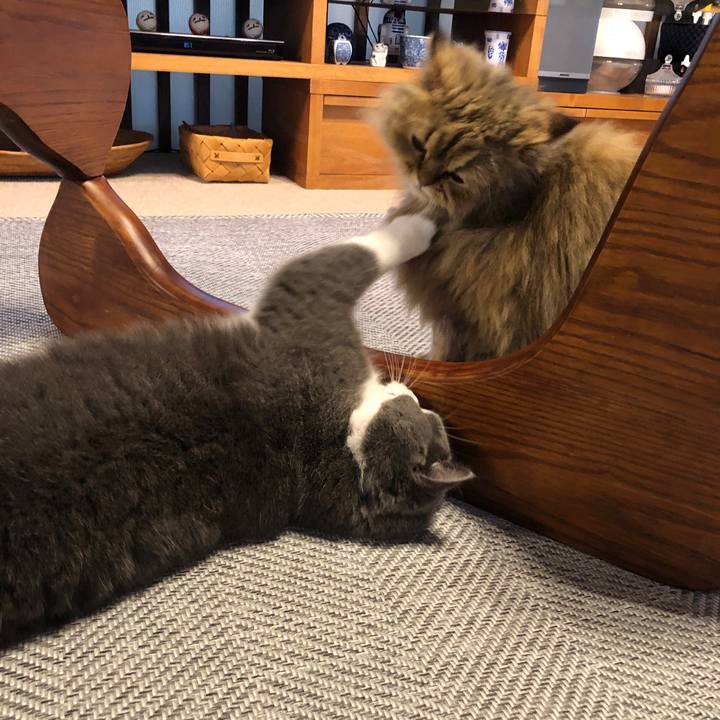 C71d2c43 f308 4ac9 a73a 5cd8c2d07ec8 1553904436405