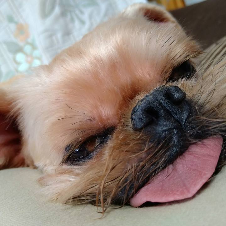 C71d43ce 36ef 4fb2 ac68 4c7277931a20 1630111459553