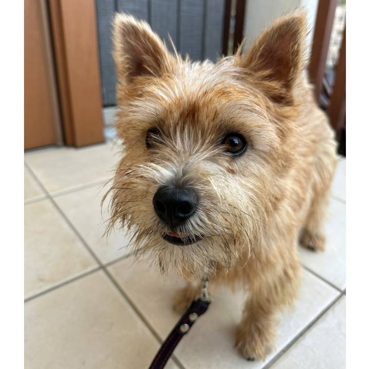 C71d4df6 75f2 4f56 8e11 de20bda609ba 1728650312785