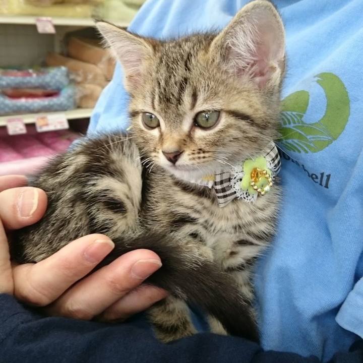 C71d5e03 a166 4327 a484 0ba5106ef504 1581890038116