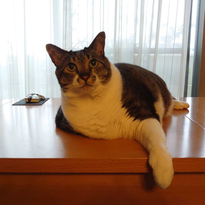 C71d7e1f 8edb 496d bf89 c51daf970dbb 1588147631124