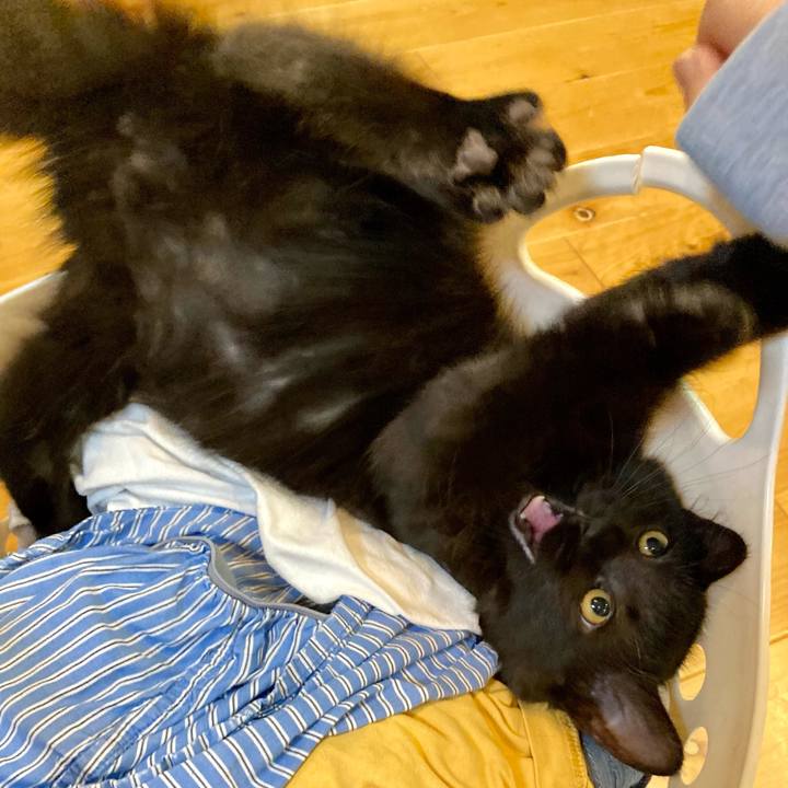 C71d84e4 5c60 4658 89b2 04b6bfa7b766 1703143540030