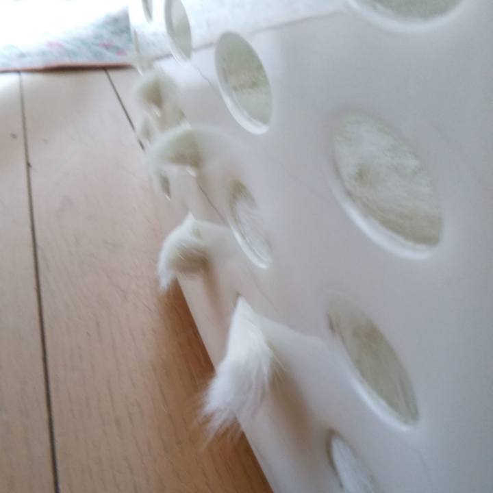 C71d8527 a036 4ae7 966f 80623d355d41 1536900688090