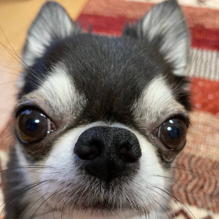 C71dd09e 1682 4a48 86fc 846feeb105ee 1671836389867