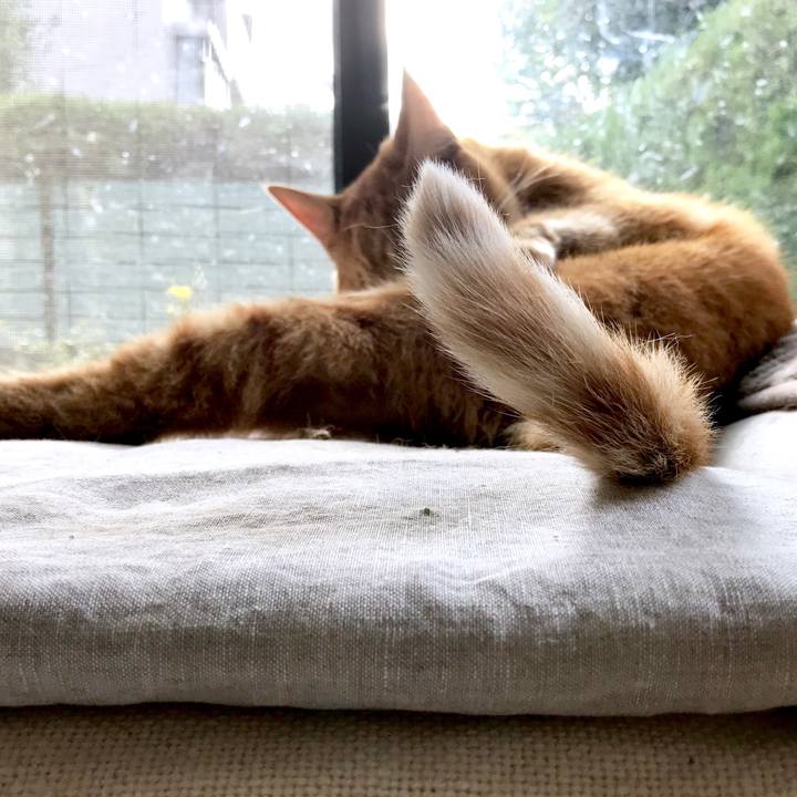 C71e1f94 b9d9 4d25 a727 11dfcf1e9a8b 1540781203524