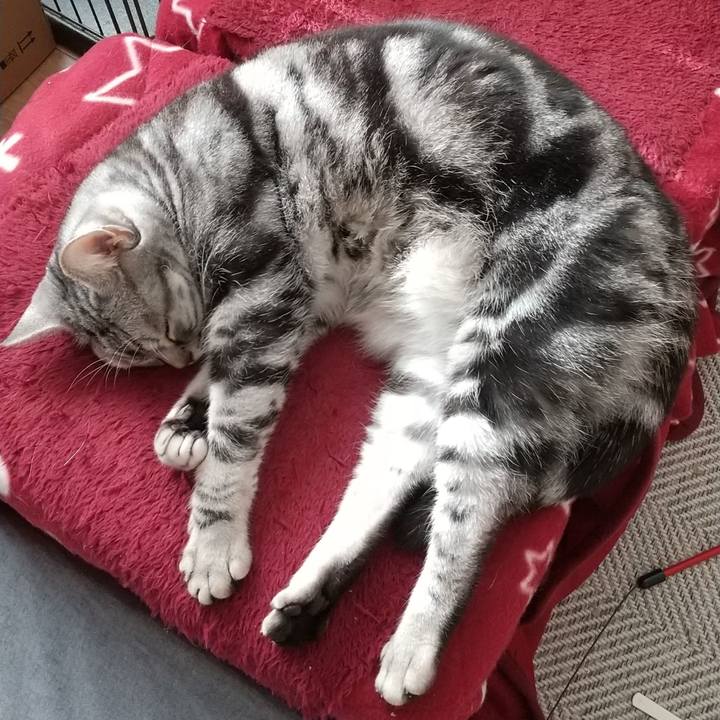 C71e2594 8aa5 45c8 b197 a42a1cdc8402 1644493747482