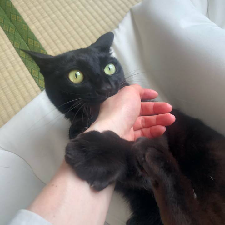 C71e2930 4ac8 4a1a b2ec 83789391ee80 1617441152904