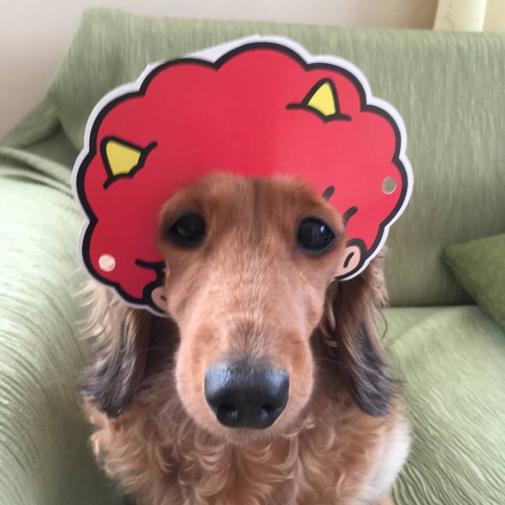 C71e3431 c995 41f6 adda bea85b9b8818 1517620535841