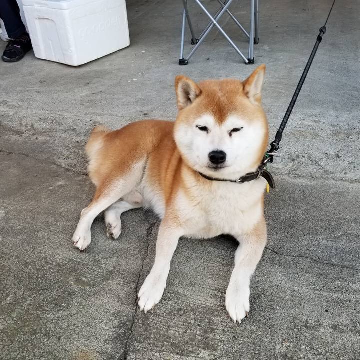 C71e4772 0304 4ec4 9f5d 7ffc606b862c 1603607791833