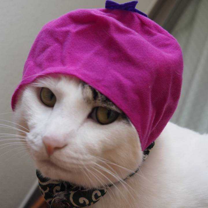 C71eab75 443e 4b24 b628 24d1945be5e3 1529237304580