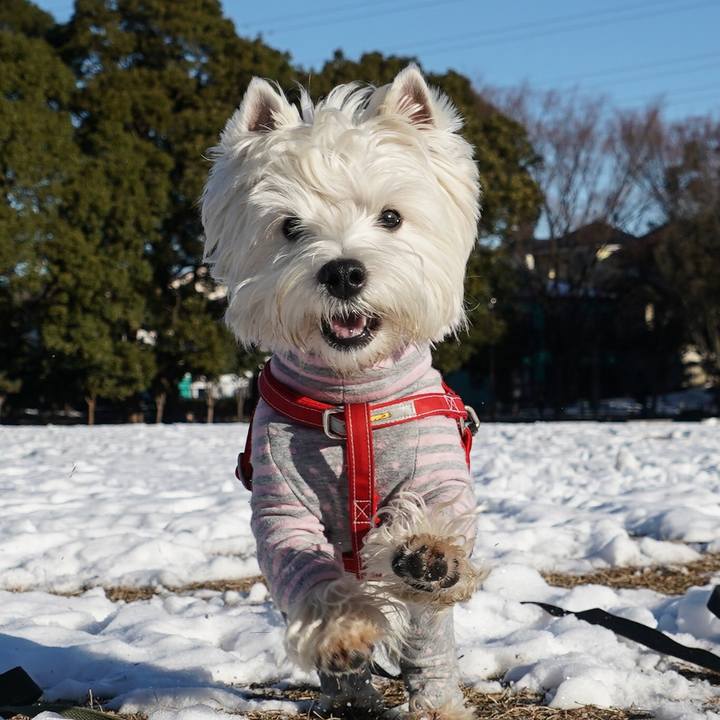 C71ef2a0 c809 4430 a9b2 3ec571b51337 1516796012938