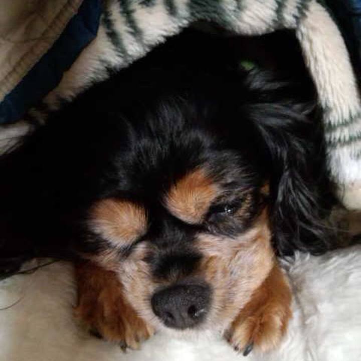 C71f2e60 a35a 49e5 ab08 b1710e43663a 1511615824369