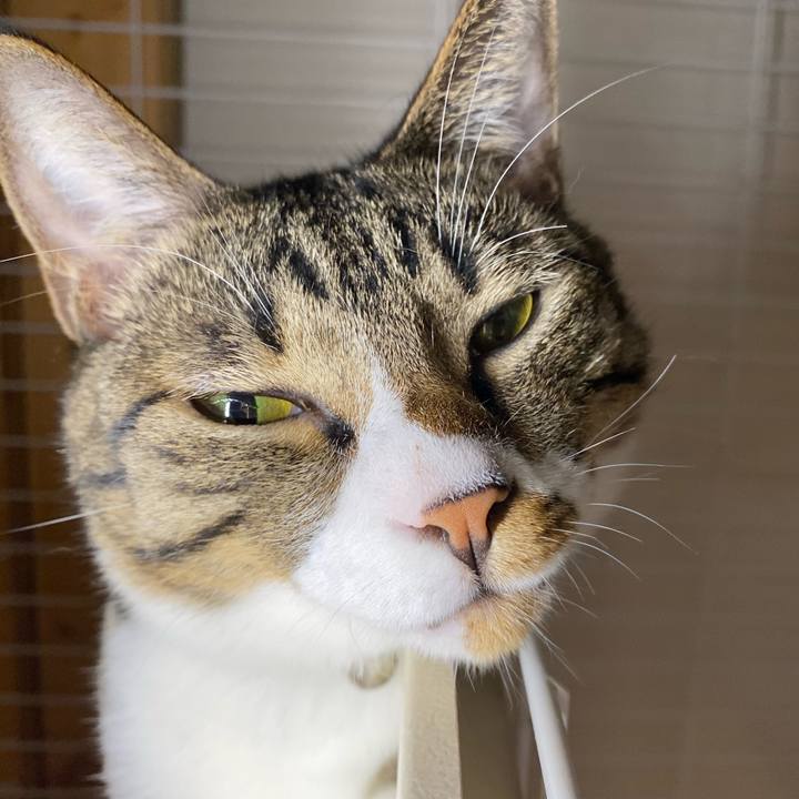 C71f468f 14d0 4d68 ad8e c82799bc95ab 1693043124407