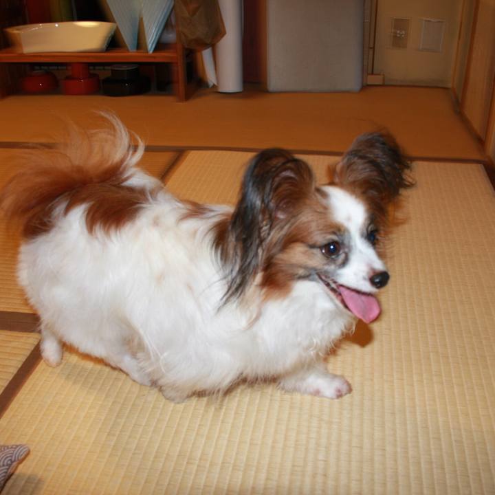 C71f8cc3 9876 4c70 a8c4 37f08426ae75 1507876870351