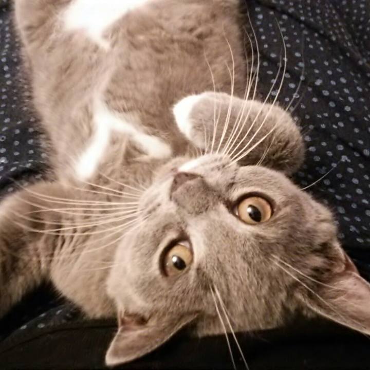 C71f8fbc 1451 4d87 a4da 2bb256bc4a21 1533951120931