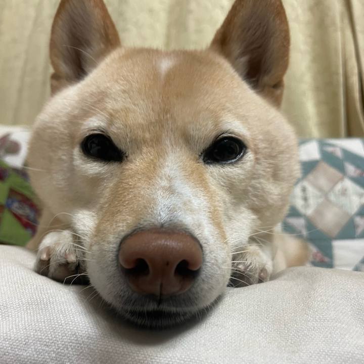 C71f9ea1 f92a 4f96 9f22 b19ad5b5be74 1671405894064