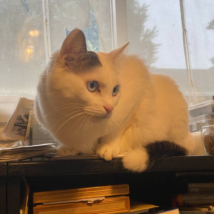 C71fe80a f30e 4243 8e5d 6e0f005bea3c 1736298963168