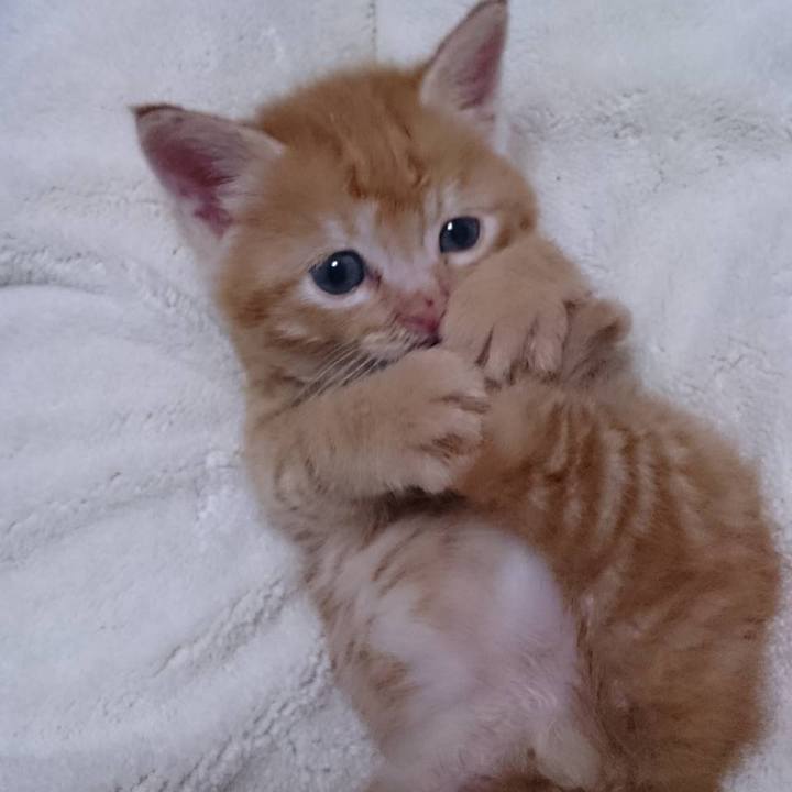 C72026a7 96da 4545 b4d3 c7cb3d300c97 1578991816216